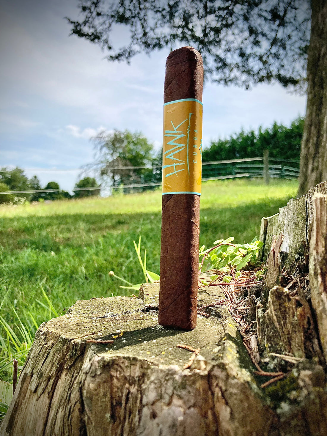 Blackbird Cigar Co & Cigar Culture Hawk Review